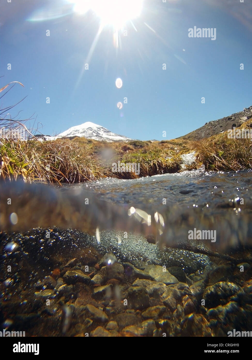 Snowmelt pura acqua che scorre giù per i pendii del Volcan Lanin in primavera, Parque Nacional Lanin, Patagonia, Argentina Foto Stock