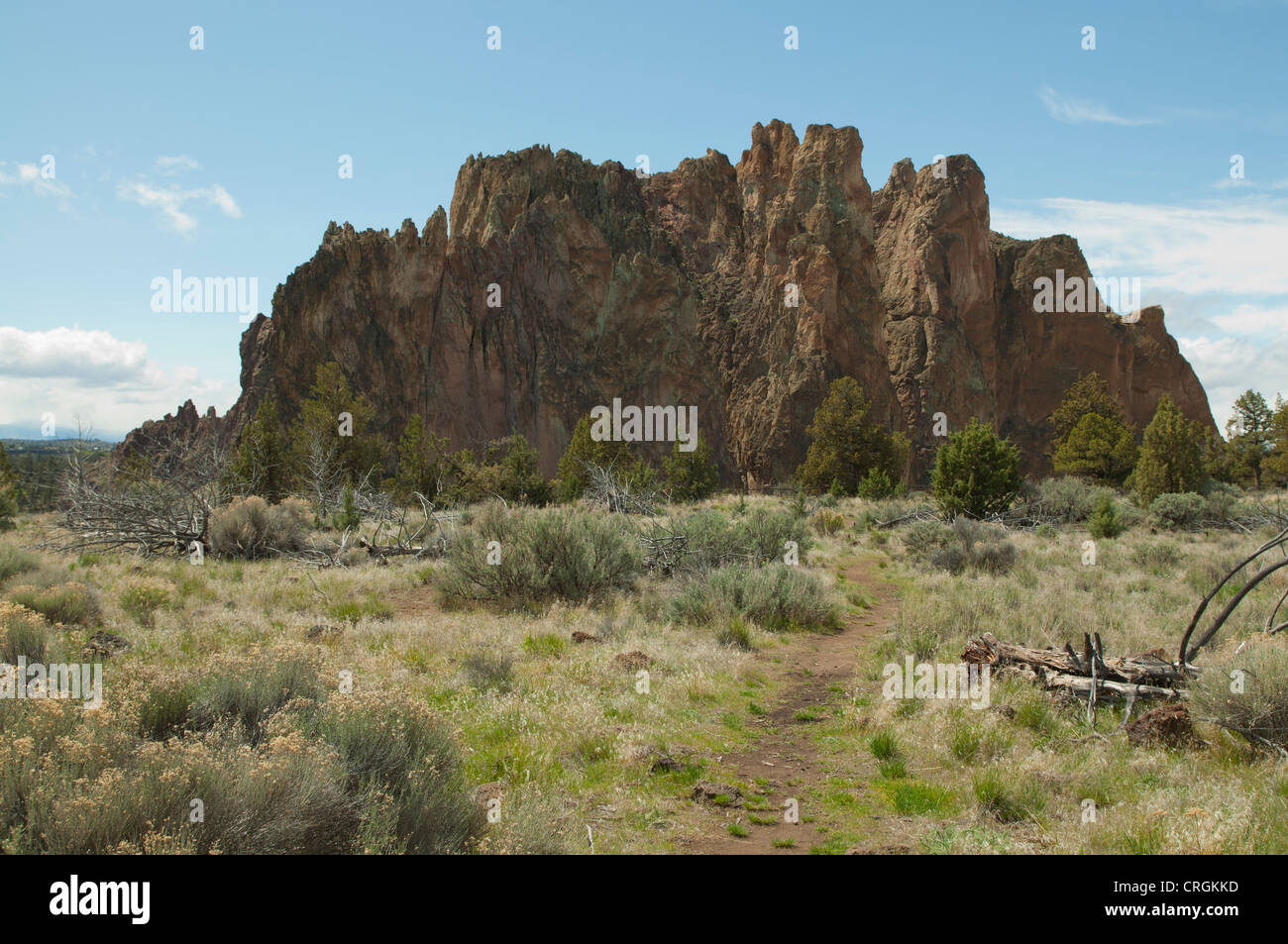 Smith Rock State Park, un estremamente popolare in palestra di roccia nei pressi di destinazione Terrebone, Oregon, Foto Stock