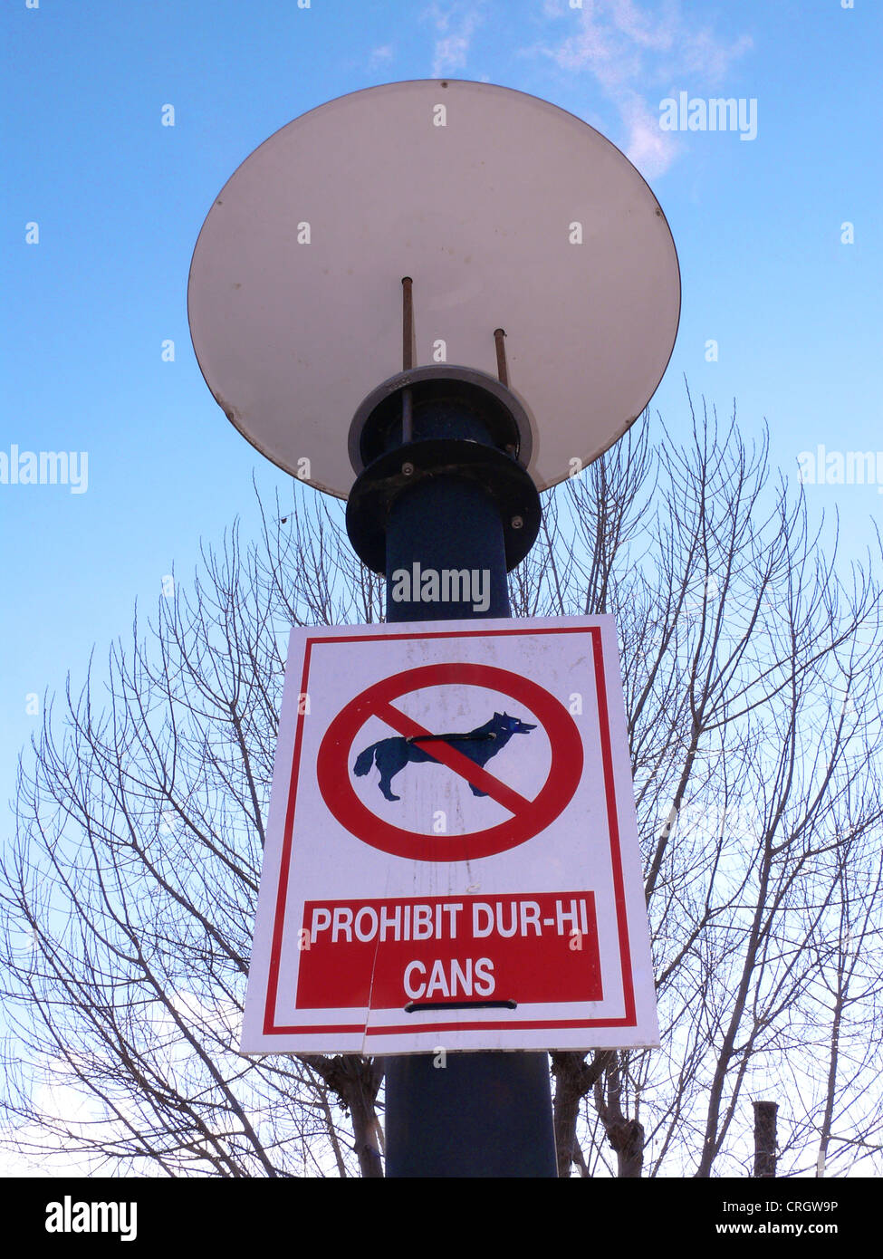 Segnale di divieto per i cani a una lanterna, Spagna, Balearen, Maiorca, Alcudia Foto Stock