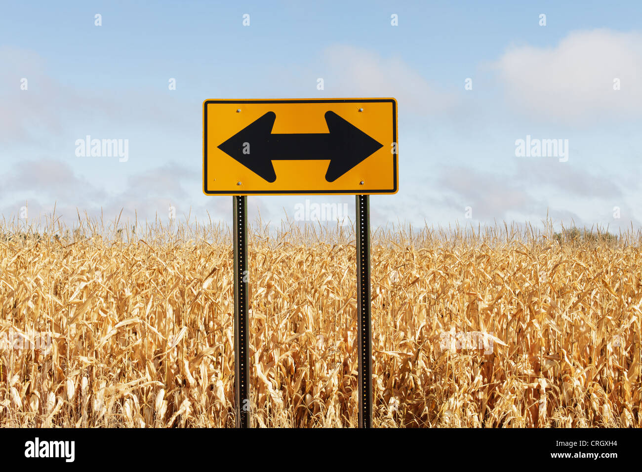 Una freccia direzionale firmare in un campo di mais. Foto Stock