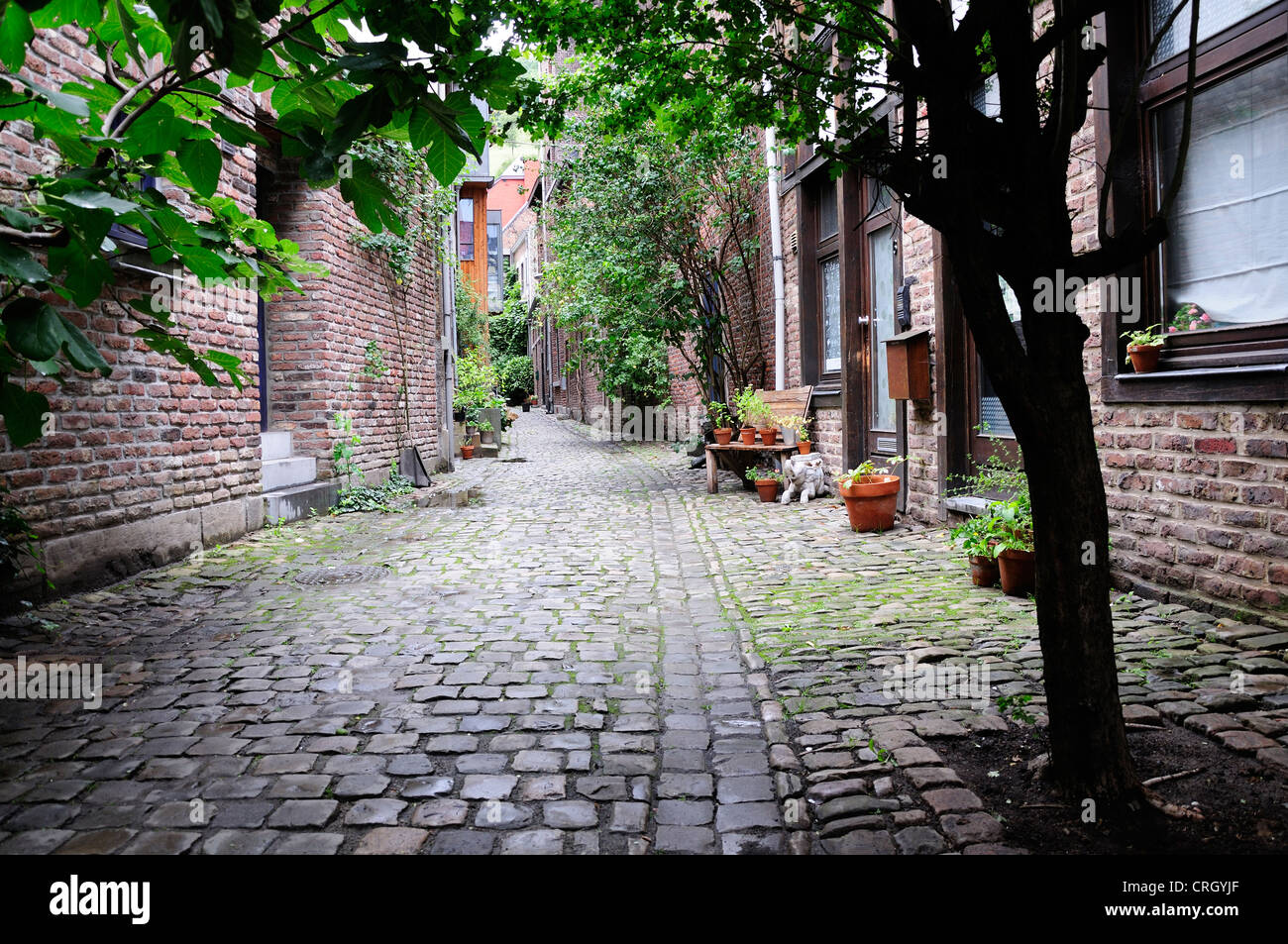 Liegi, Belgio. Impasse de L'Ange Foto Stock