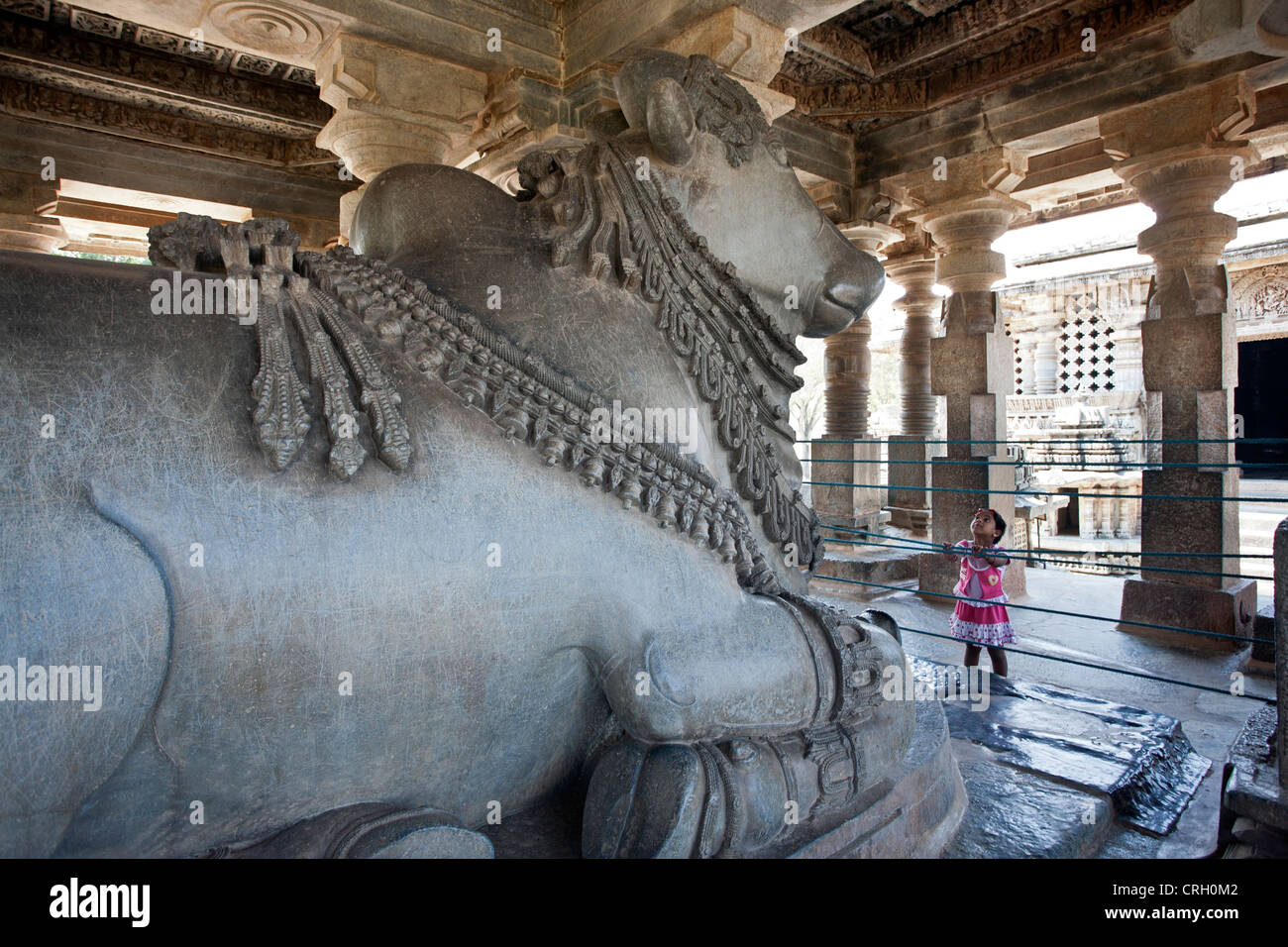 Nandi Bull monolite. Tempio Hoysaleswara. Halebidu. India Foto Stock