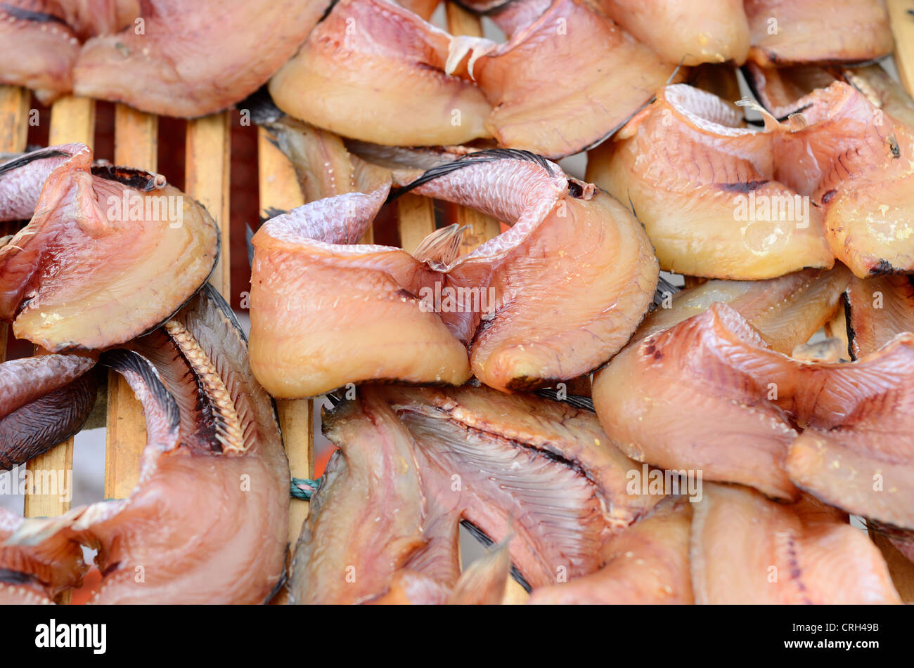 Essiccato snakehead pesce al mercato della Thailandia Foto Stock