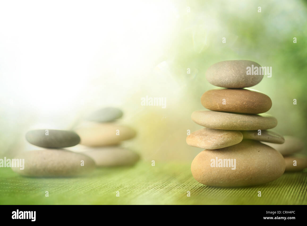 Giardino di roccia Foto Stock