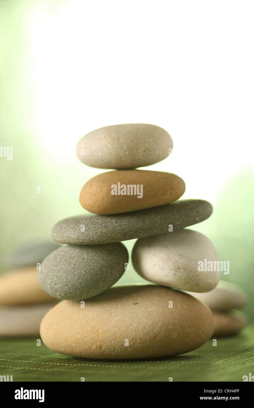 Giardino di roccia Foto Stock