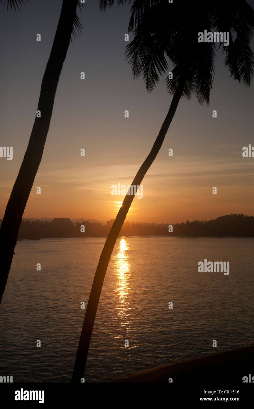 Palme al tramonto Weligama sull'Oceano Indiano Sri Lanka Foto Stock