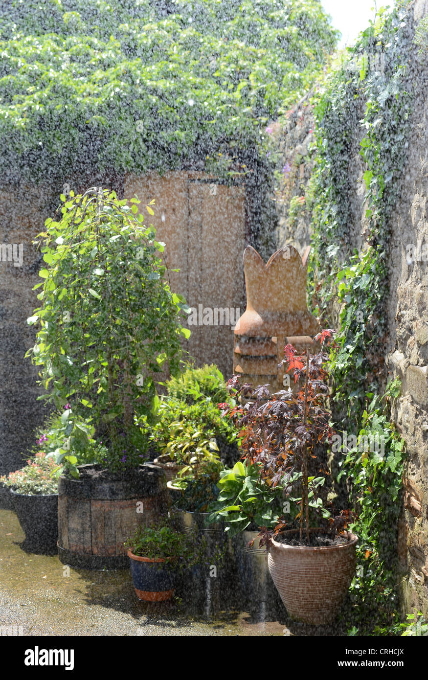 Pot giardino durante forti piogge mentre il sole risplende. Foto Stock