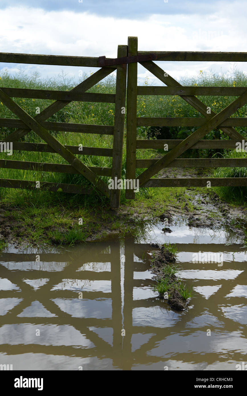 Chiuso i cancelli di fattoria riflessa nelle pozze di acqua dopo la pioggia pesante Foto Stock