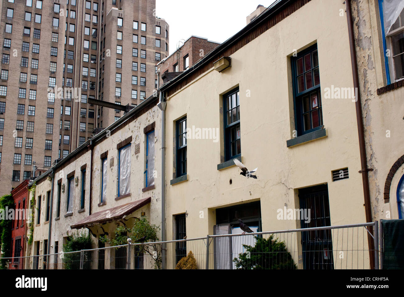 Pigeon battenti in Washington Square Mews. Tutti questi mews house sono in fase di ristrutturazione Foto Stock