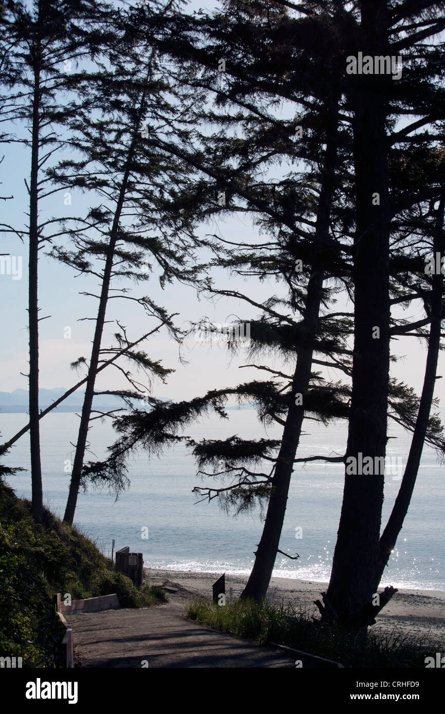 Dungeness National Wildlife Refuge - Sequim, Stati Uniti di Washington Foto Stock