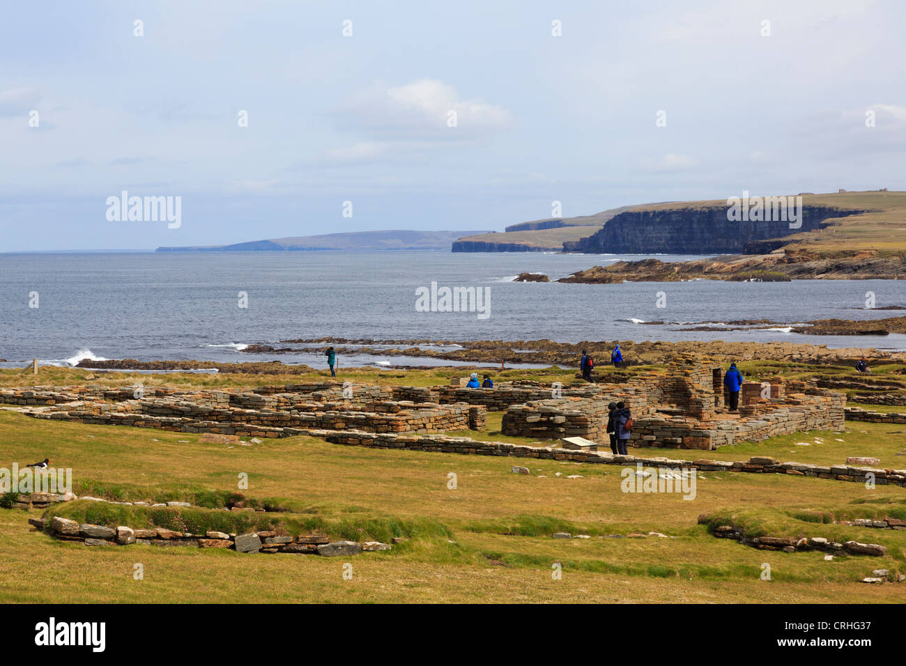 Vista della costa con resti di Pictish e norreni insediamento scavato sulla Brough di Birsay Isole Orcadi Scozia UK Gran Bretagna Foto Stock
