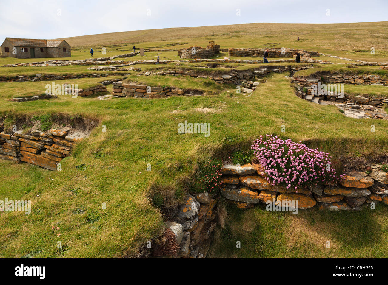 Resti di Norse case lunghe in un decimo secolo insediamento scavato sulla Brough di Birsay Isole Orcadi Scozia UK Gran Bretagna Foto Stock