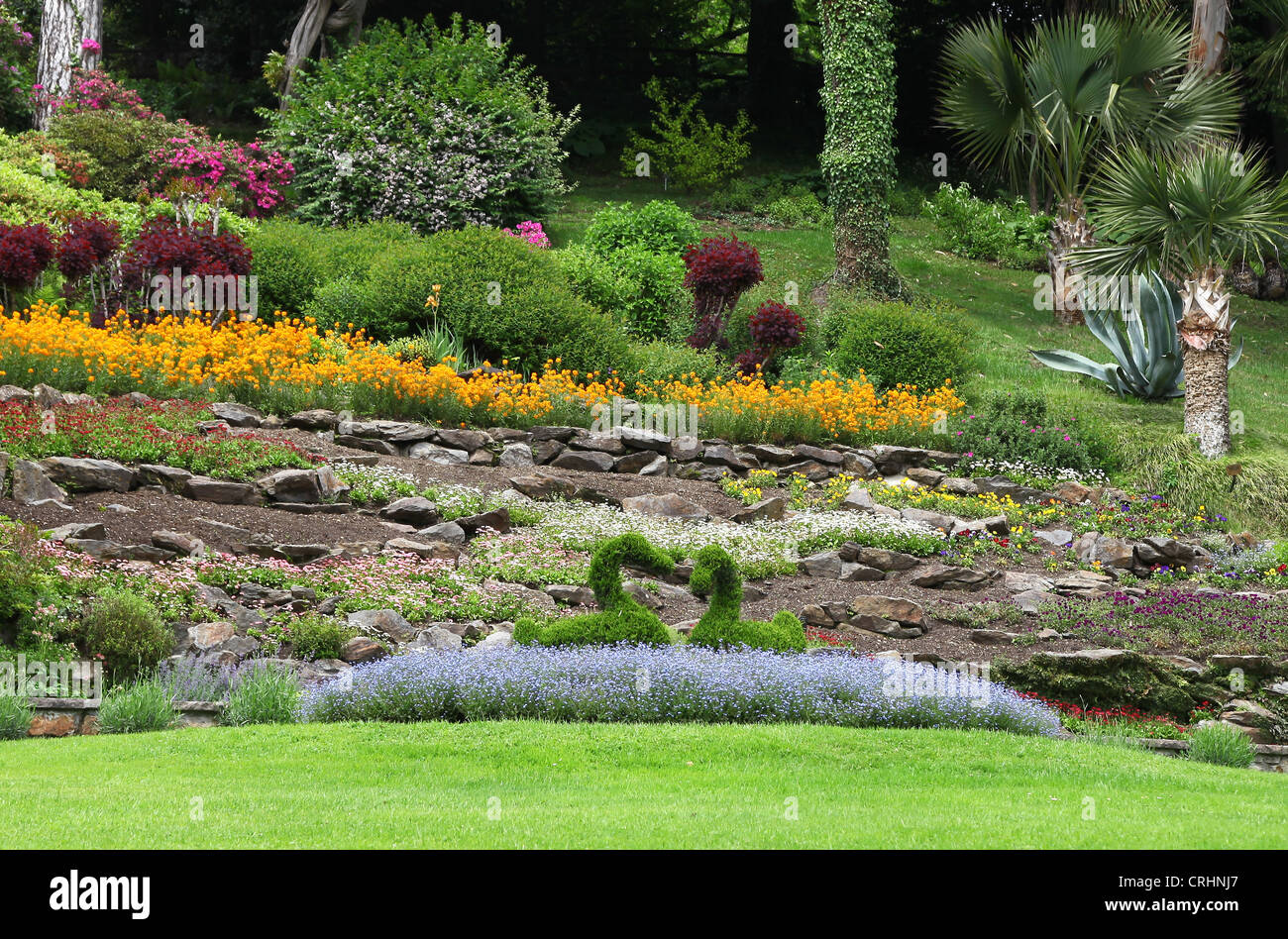 Topiaria da 2 cigni nei giardini di Villa Carlotta, Lago di Como, Lombardia, laghi italiani, Italia Foto Stock