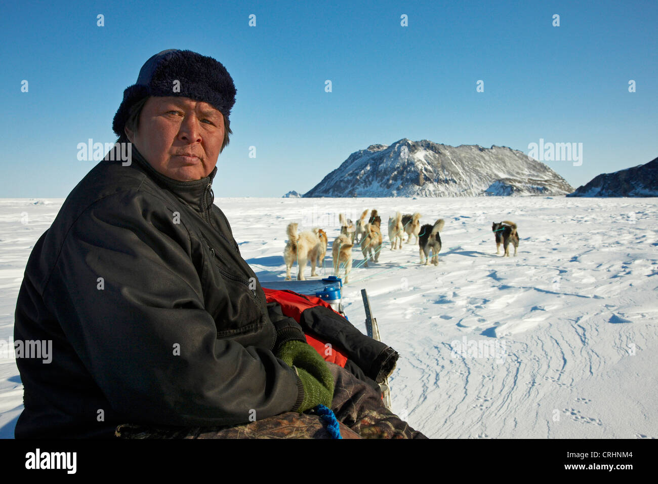 La Groenlandia cane (Canis lupus f. familiaris), inuit con slitta trainata da cani, Groenlandia, Ostgroenland, Tunu, Kalaallit Nunaat, terra di Liverpool Foto Stock
