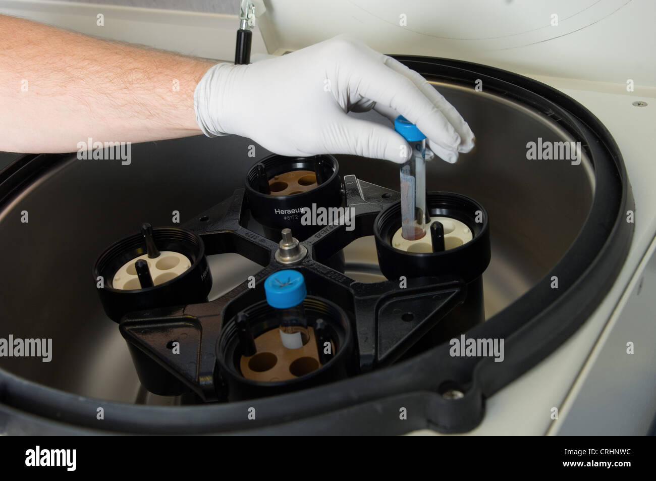 Clinica di fertilità campione di fertilizzazione in vitro lab Foto Stock