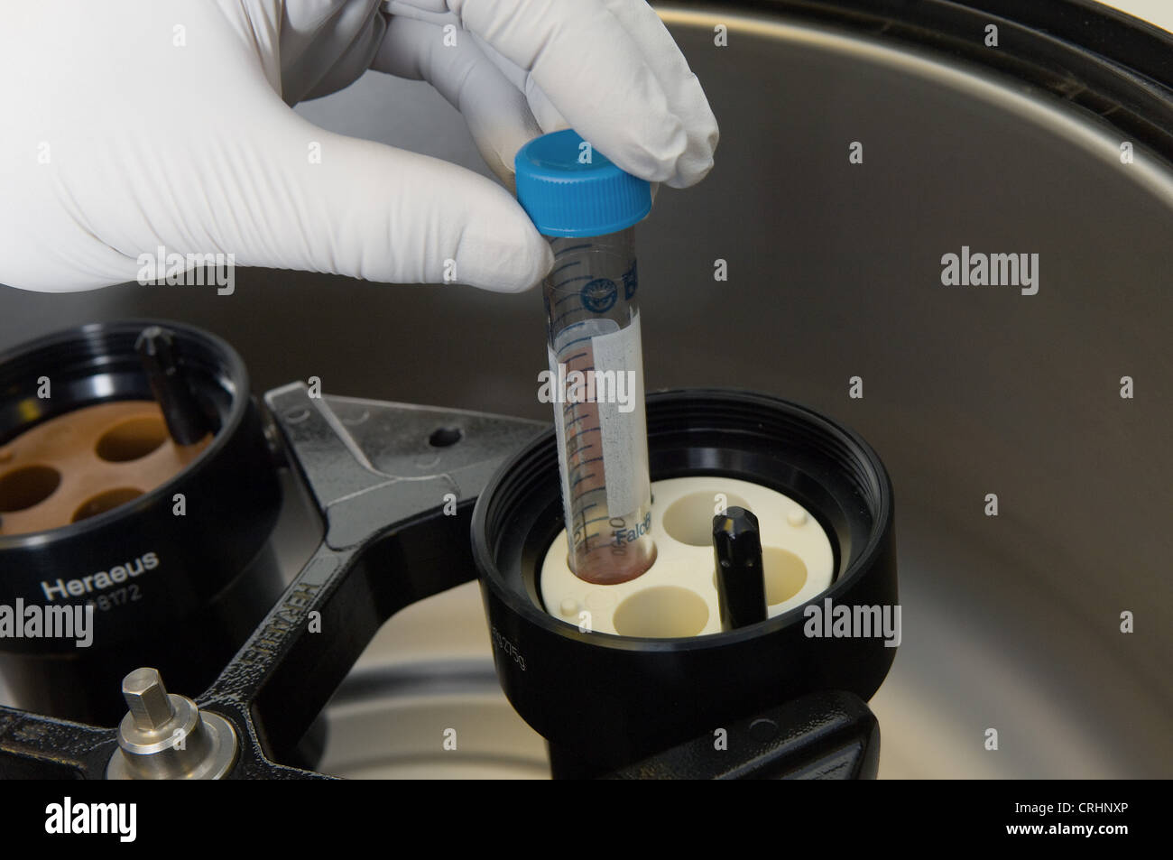 Clinica di fertilità campione di fertilizzazione in vitro lab Foto Stock