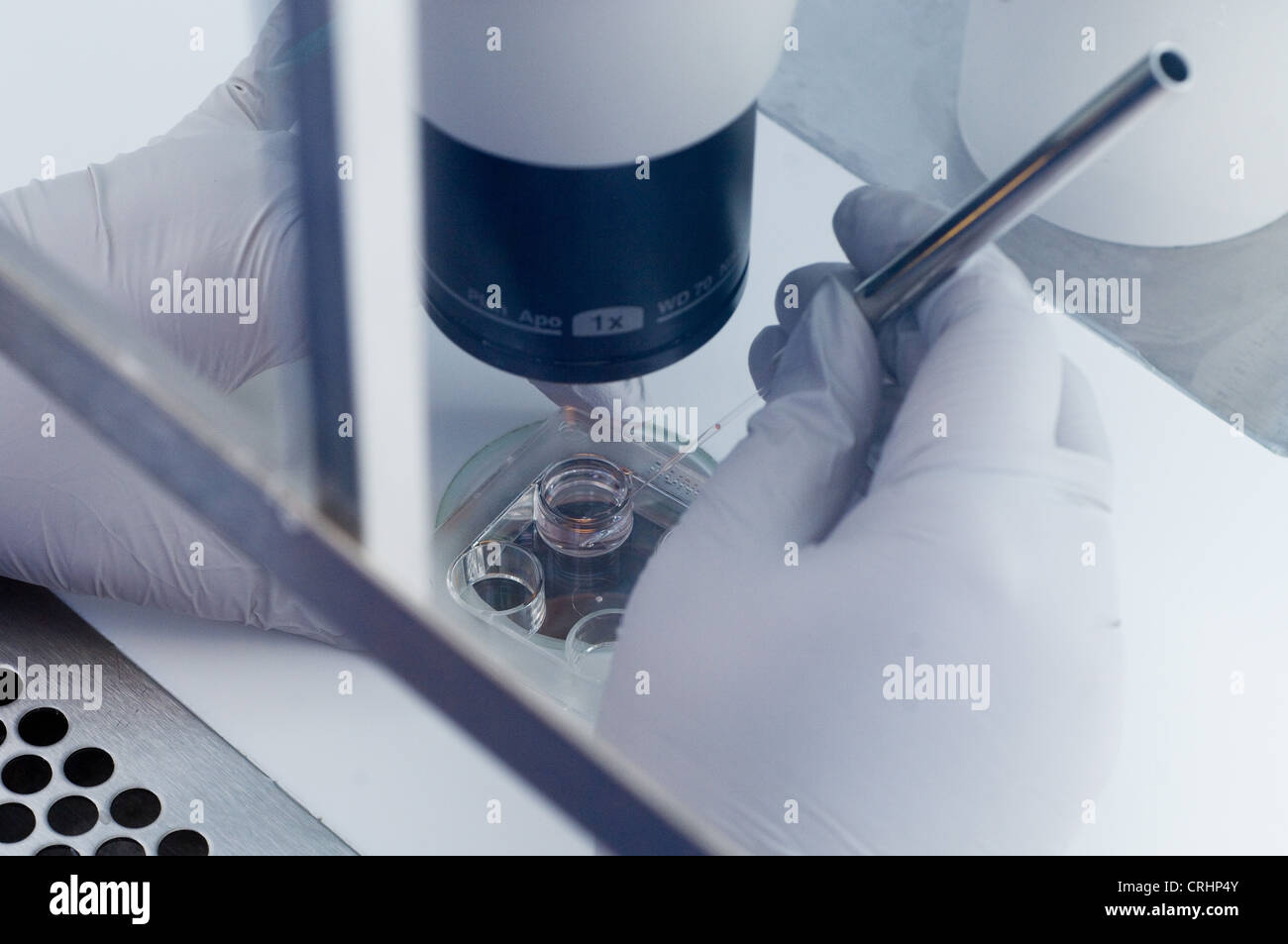 Microscopio clinica di fertilità fecondazione delle uova Foto Stock