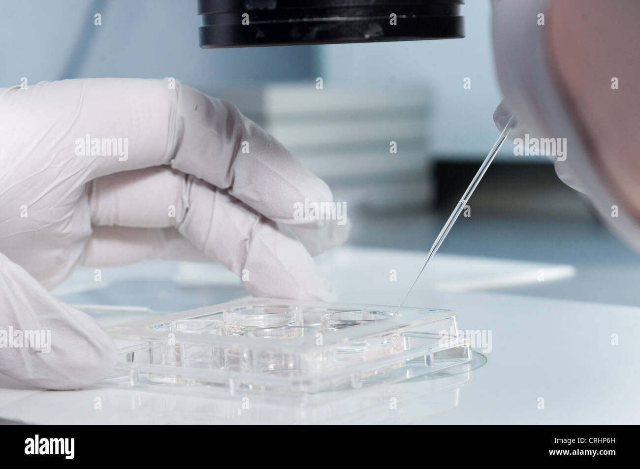 Microscopio clinica di fertilità fecondazione delle uova Foto Stock