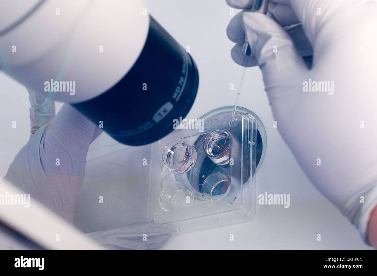 Tecnico di laboratorio donatori di lavaggio delle uova Foto Stock
