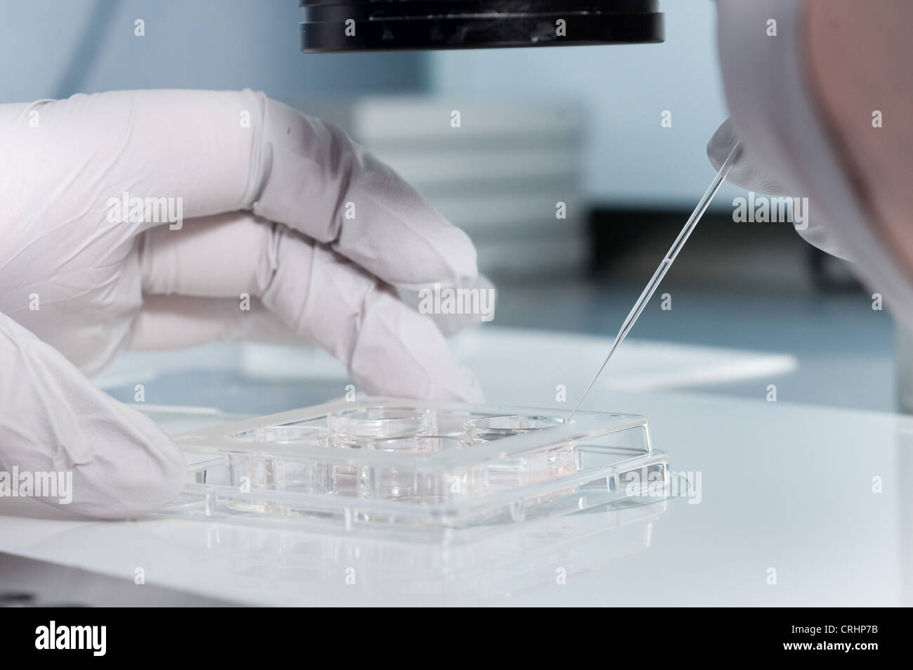 Microscopio clinica di fertilità fecondazione delle uova Foto Stock