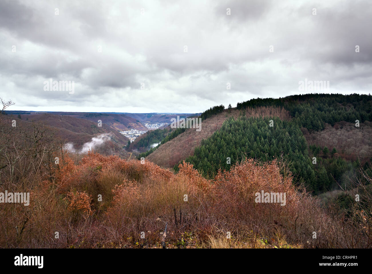 Bosco su montagne in autunno con cielo velato Foto Stock