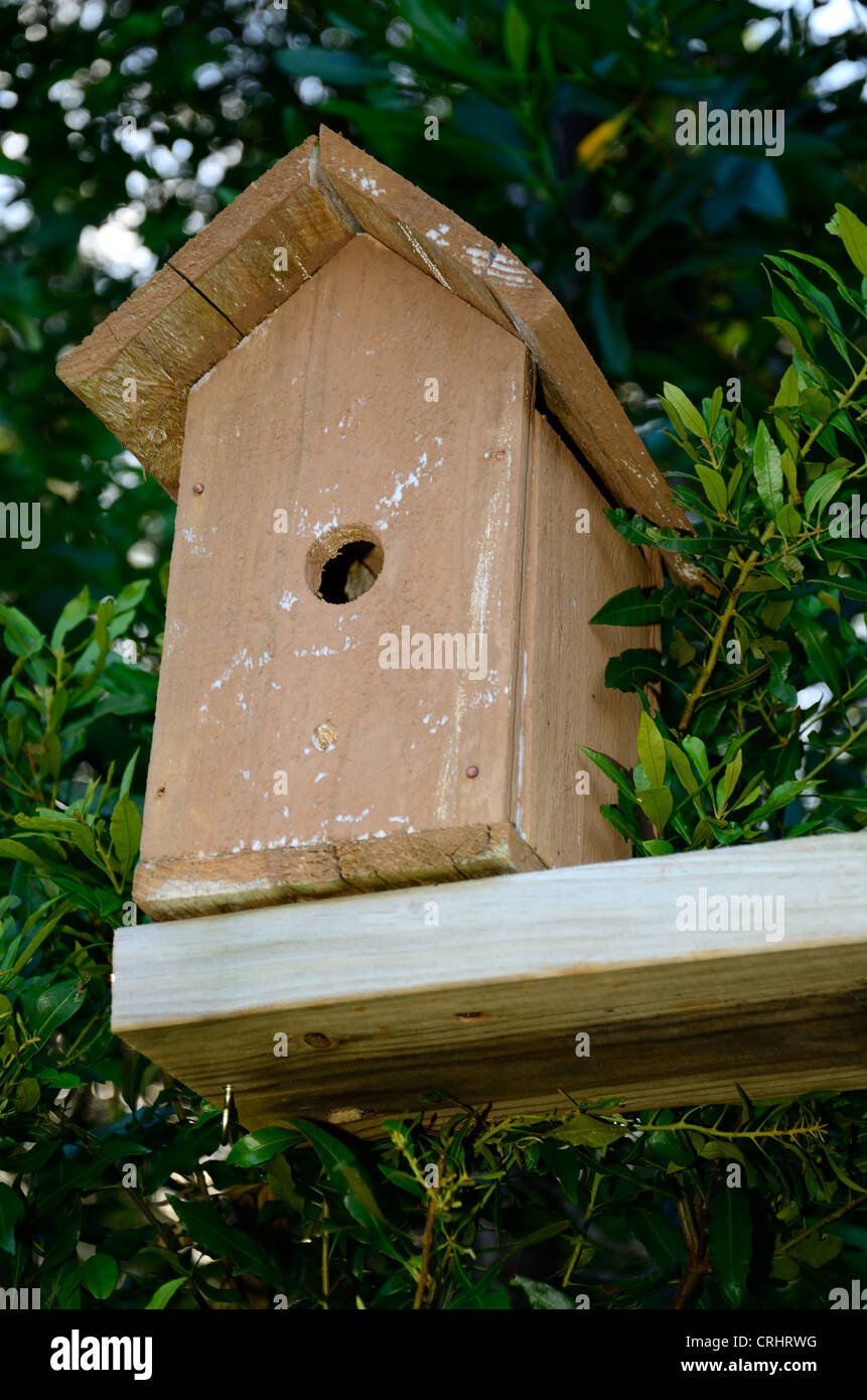 Uccello rustico house fornisce un riparo per viola martins Foto Stock