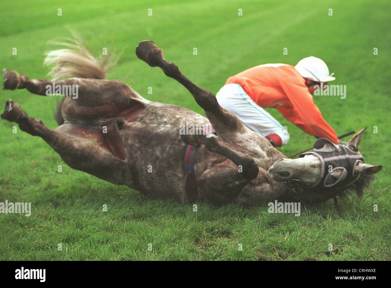 Discesa involontaria da cavallo Foto Stock