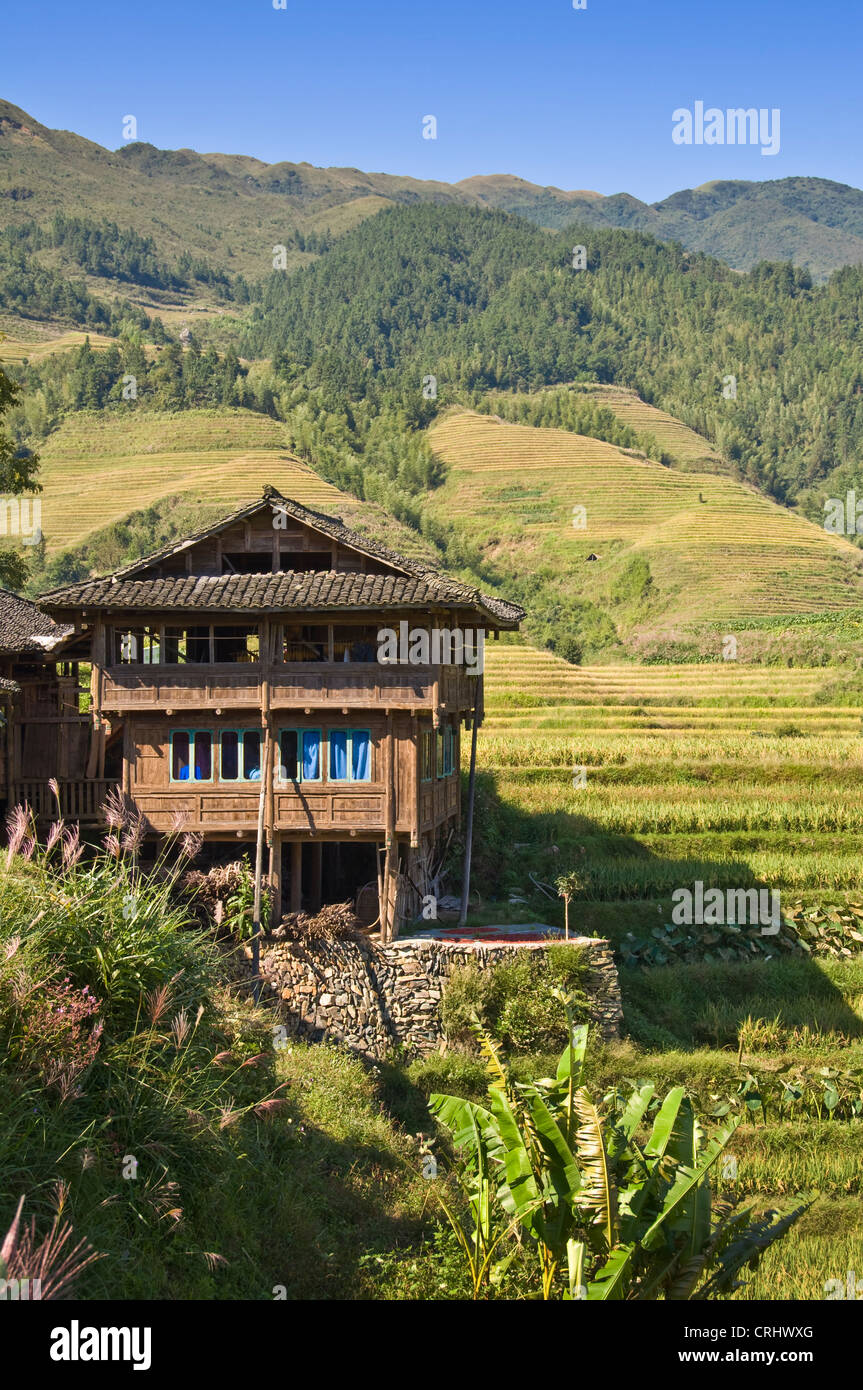 Tradizionale casa di legno e le terrazze di riso Longsheng - Longji village - provincia di Guangxi - Cina Foto Stock