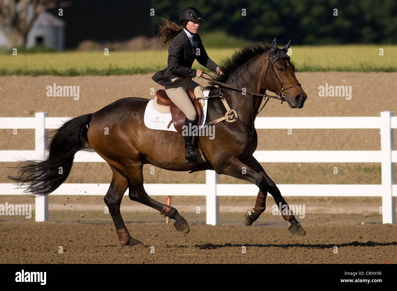 Giugno 24, 2012. Un cavaliere naviga a cavallo attraverso un anello di ponticello a horse show in Ontario in Canada. Foto Stock
