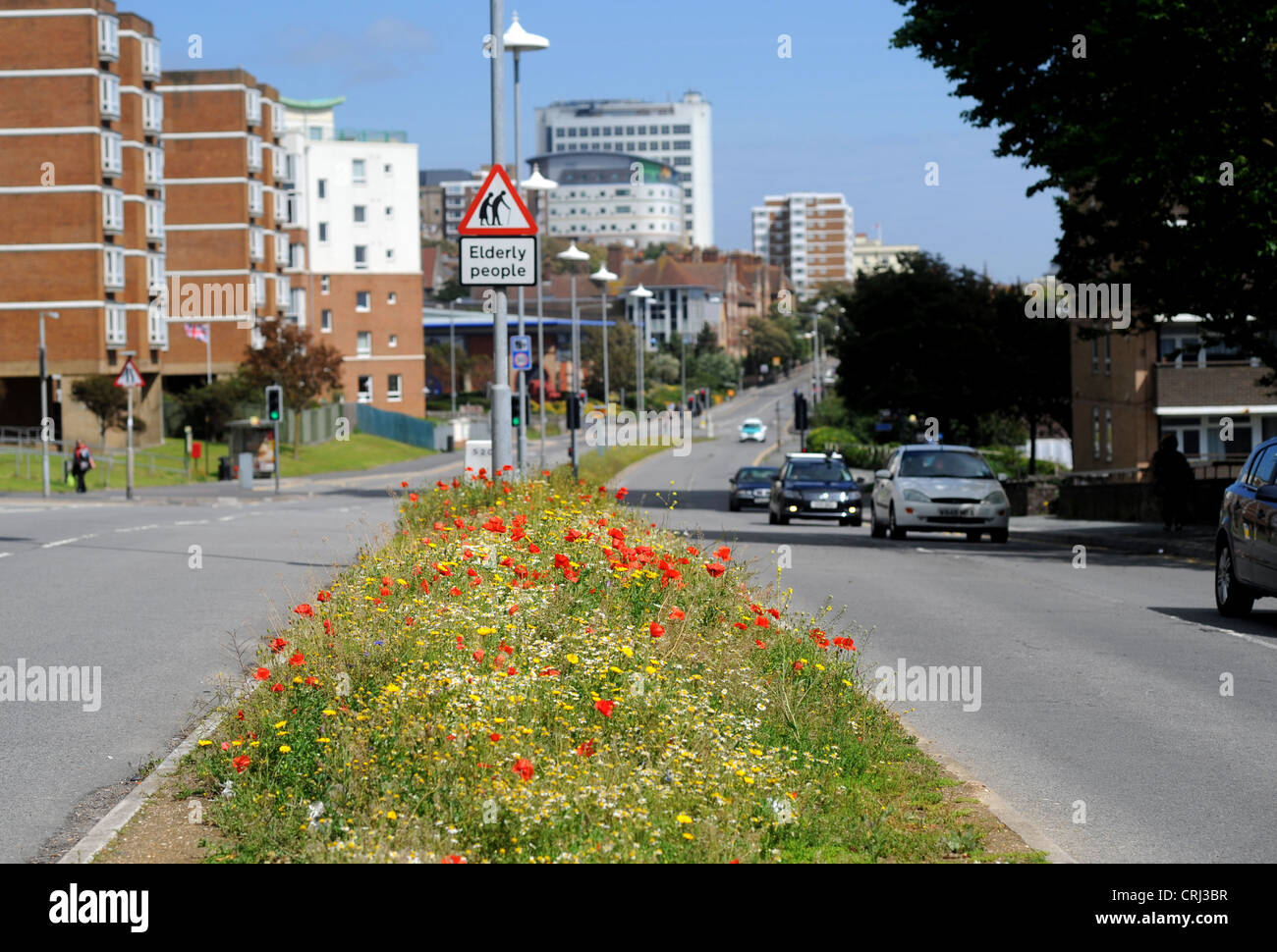 Brighton Regno Unito 24 Giugno 2012 - fiori selvatici compresi rosso papavero e margherite in piena fioritura sulla centrale di prenotazione Brighton Road Foto Stock
