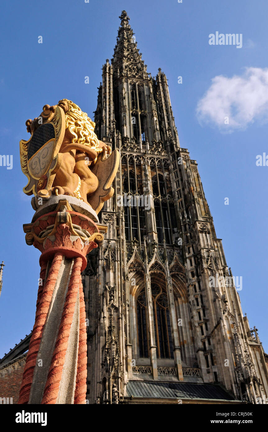 Cattedrale di Ulm, Ulmer Muenster con lion bene su Munsterplatz, GERMANIA Baden-Wuerttemberg, Ulm Foto Stock
