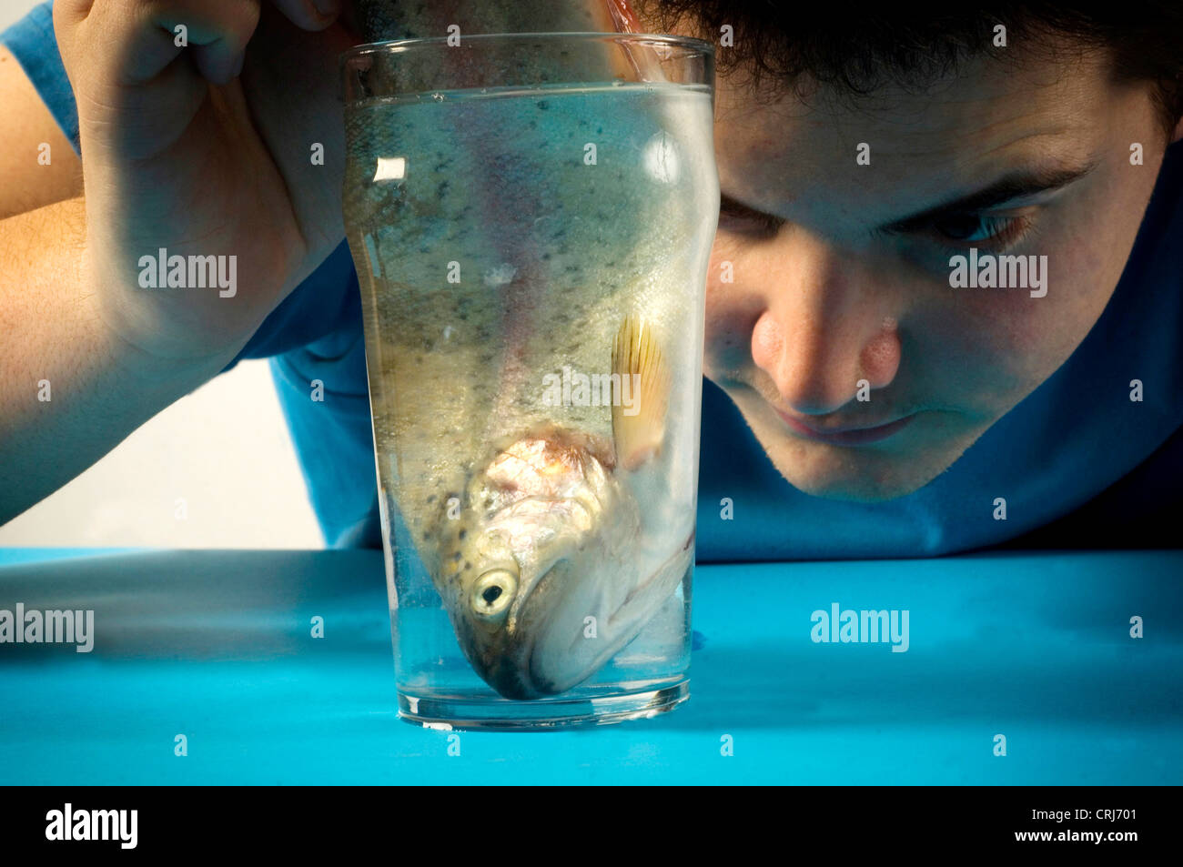 Giovane uomo orologi un pesce in un bicchiere d'acqua. L'acqua, l'elisir di lunga vita e un pesce, la fonte primaria di omega-3, considerata come un importante beneficio per la salute. Foto Stock