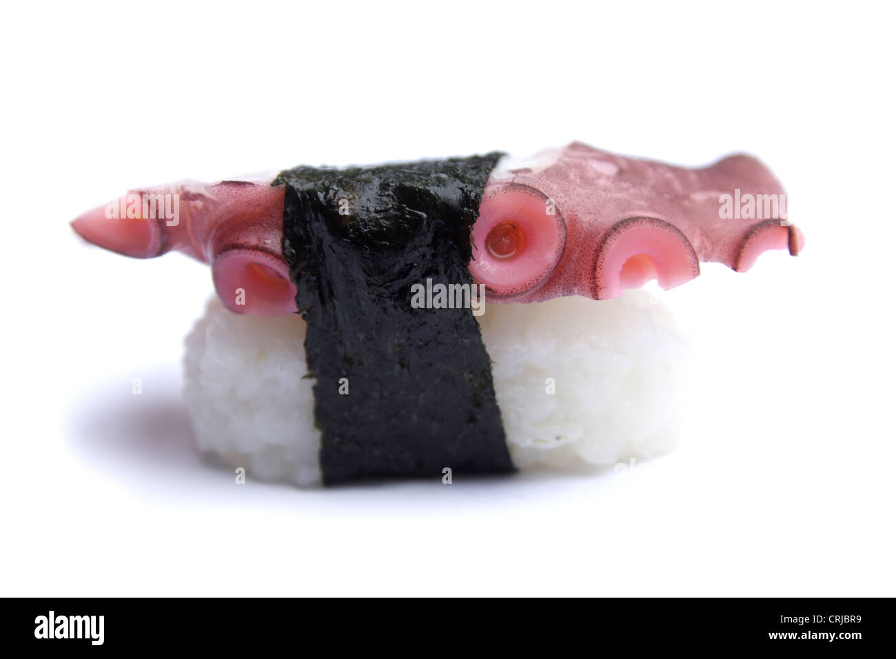 Squid sushi , uno Tako Nigiri Foto Stock
