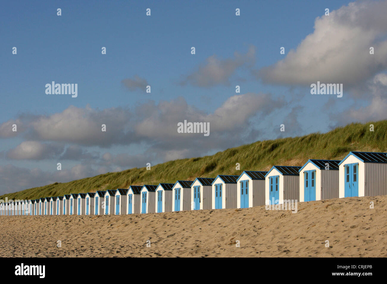 Lunga fila di ombrelloni, Paesi Bassi, Mare del Nord Foto Stock