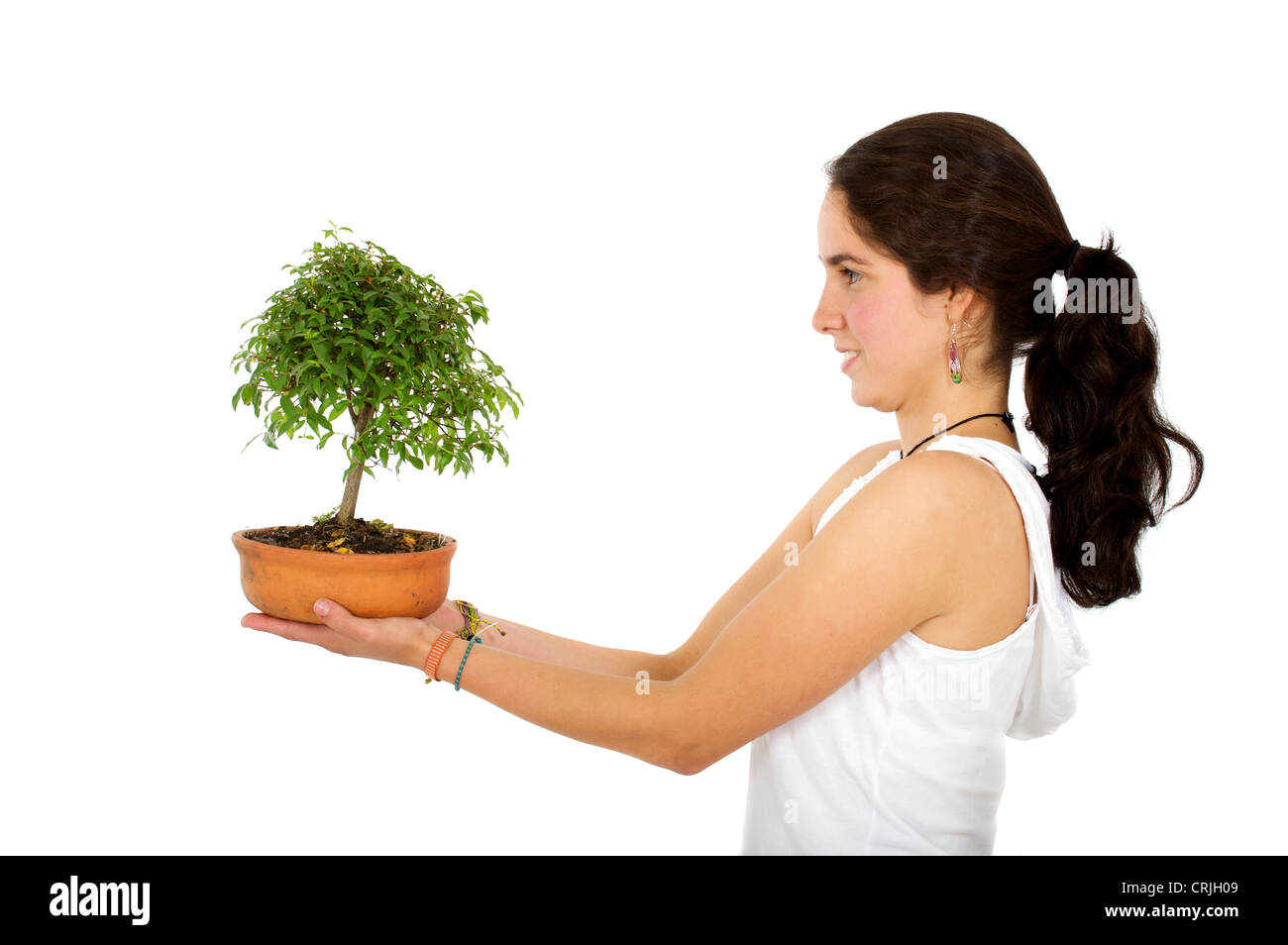 Donna che mantiene un bonsai Foto Stock