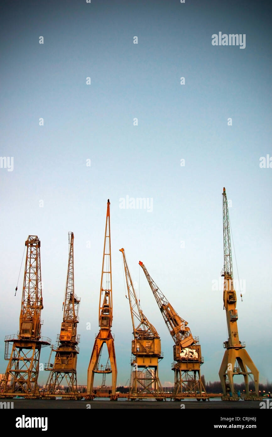 Gru a torre nel Dock cantieri di Anversa, Belgio, Fiandre, Anversa Foto Stock