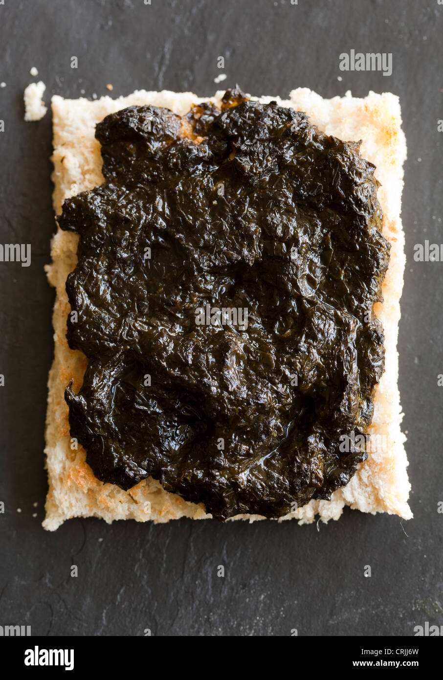 Le alghe Laver su pane tostato - una prelibatezza Gallese Foto Stock