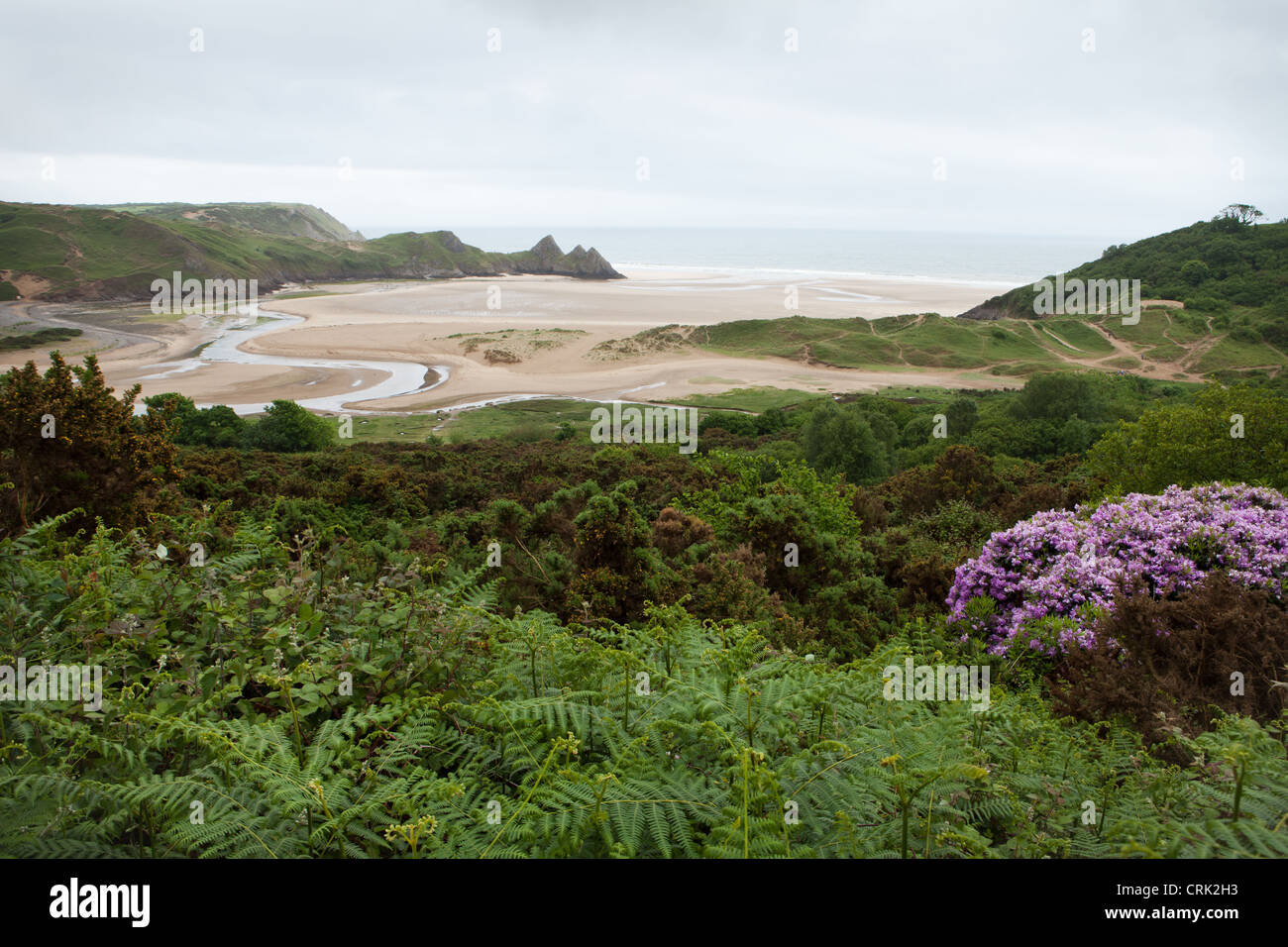 Three Cliffs Bay Beach Gower Soth Wales UK Foto Stock