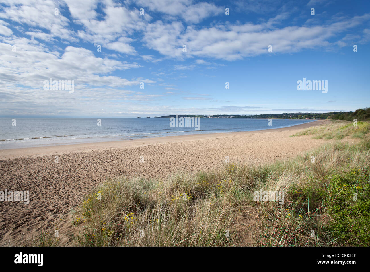 Swansea Bay South Wales UK cielo blu mare erba marram sunshine Foto Stock