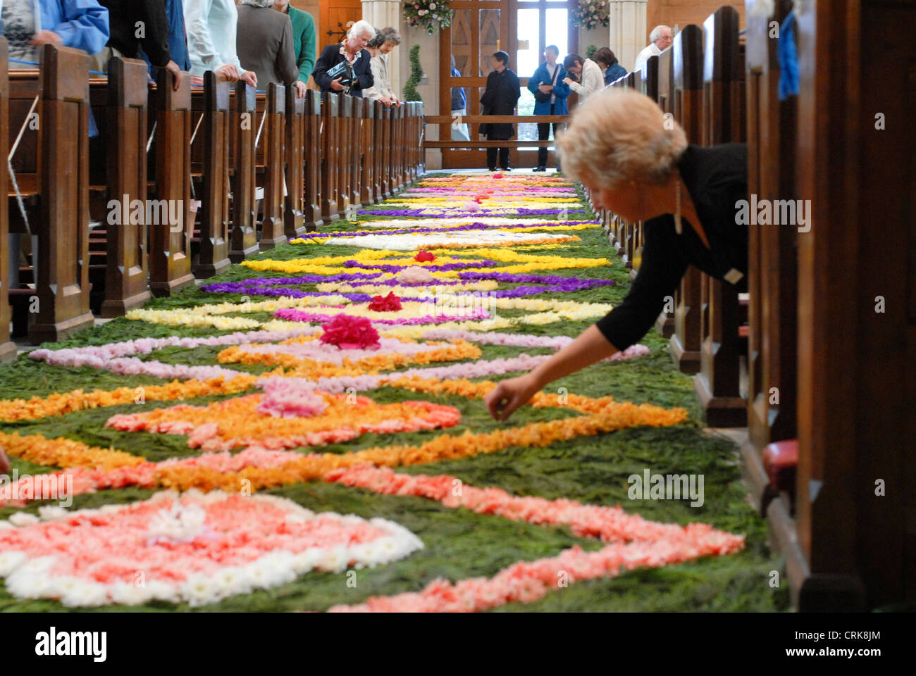 Il tappeto di fiori a Arundel la cattedrale cattolica romana, prevista durante la festa del Corpus Domini. Foto Stock