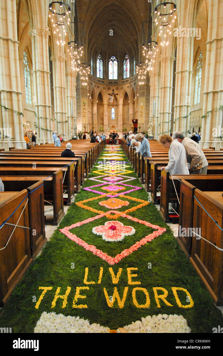 Il tappeto di fiori a Arundel la cattedrale cattolica romana, prevista durante la festa del Corpus Domini. Foto Stock