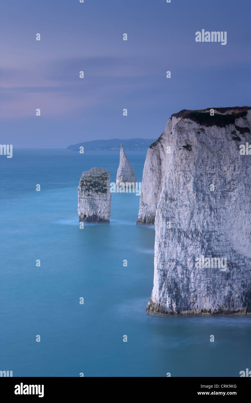 Le Bianche scogliere a Studland, Isle of Purbeck, Jurassic Coast, Dorset, England, Regno Unito Foto Stock