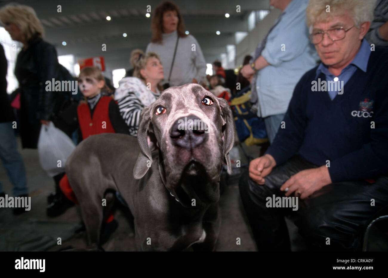 La famiglia a un dog show Foto Stock