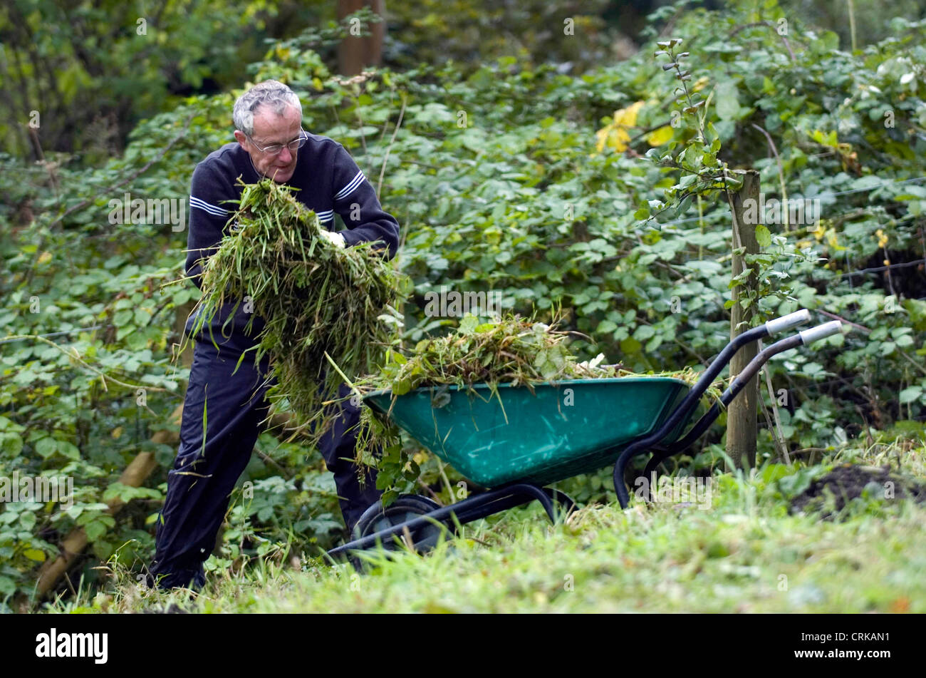 La popolazione locale contribuendo a cancellare la terra alla Comunità Mumbles Orchard vicino a Swansea. Foto Stock