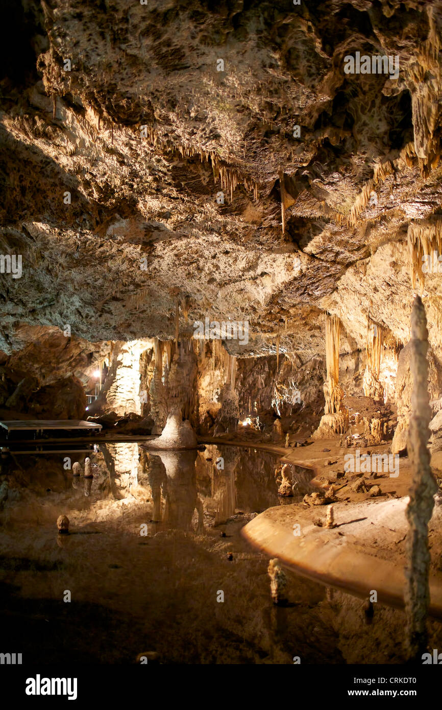 Stalattiti e stalagmiti e forme di sinterizzazione nella grotta di Punkva, Carso Moravo, Repubblica Ceca Foto Stock