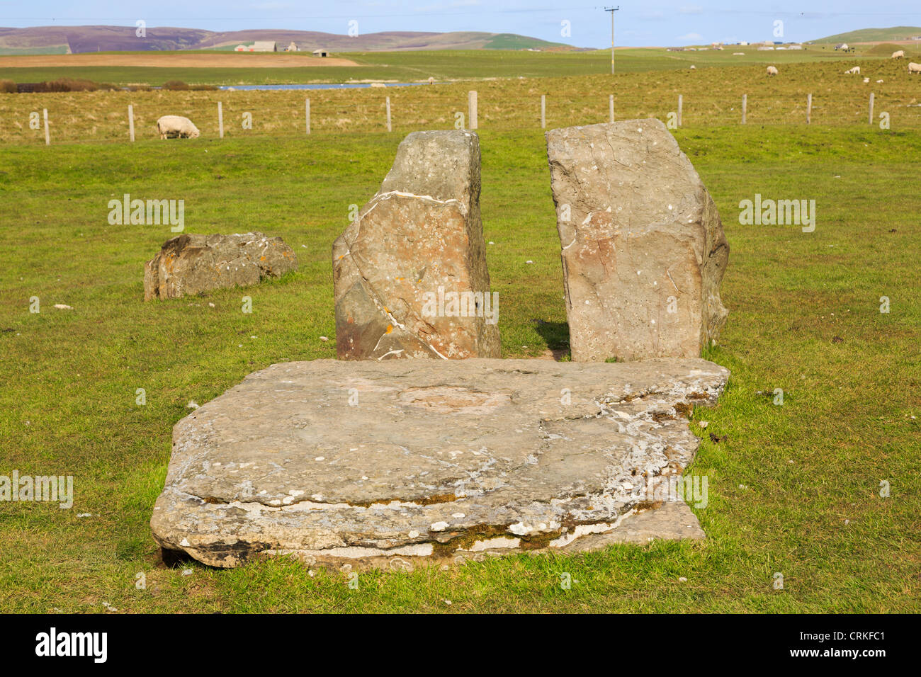 Lastra di pietra nel centro di standing pietre del Neolitico Stenness cerchio di pietra a Stenness Isole Orcadi Scozia UK Foto Stock