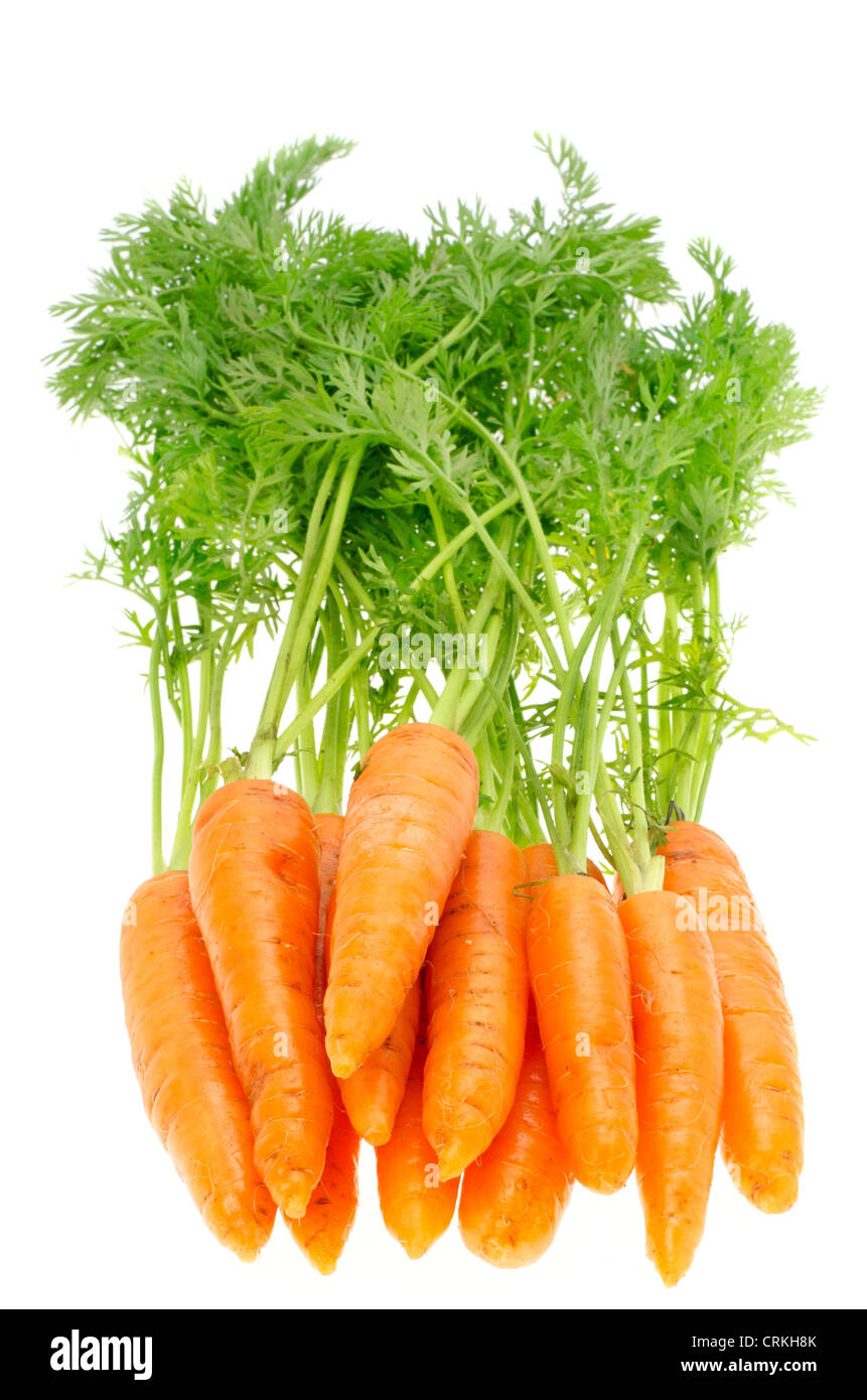 Le carote fresche con steli verdi , profondità di campo - studio shot con uno sfondo bianco Foto Stock