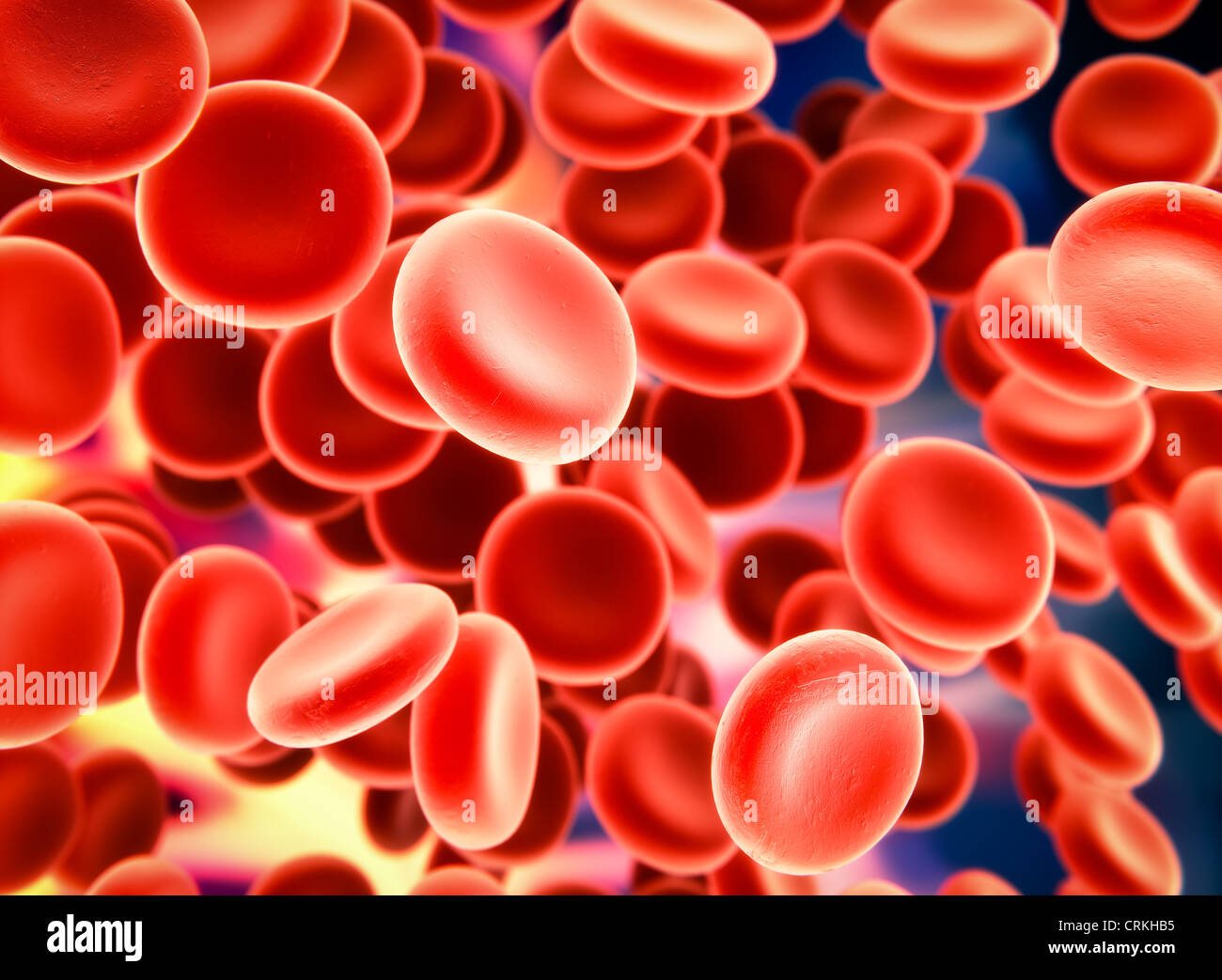 Le cellule del sangue - Microscopia elettronica a scansione illustrazione stilizzata Foto Stock