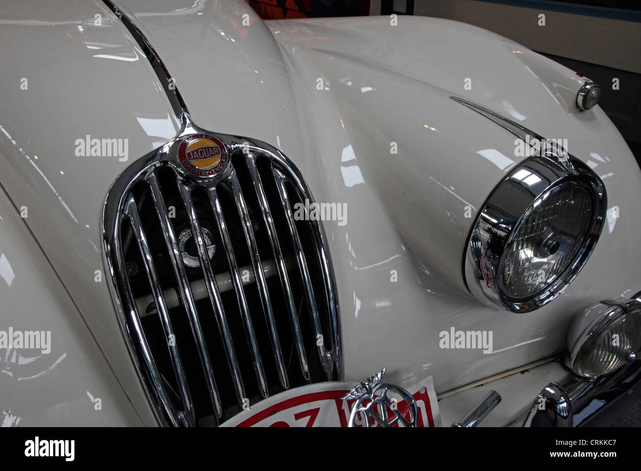Jaguar XK 150 il radiatore e il faro. Auto sul display del Lakeland Motor Museum, Cumbria Foto Stock