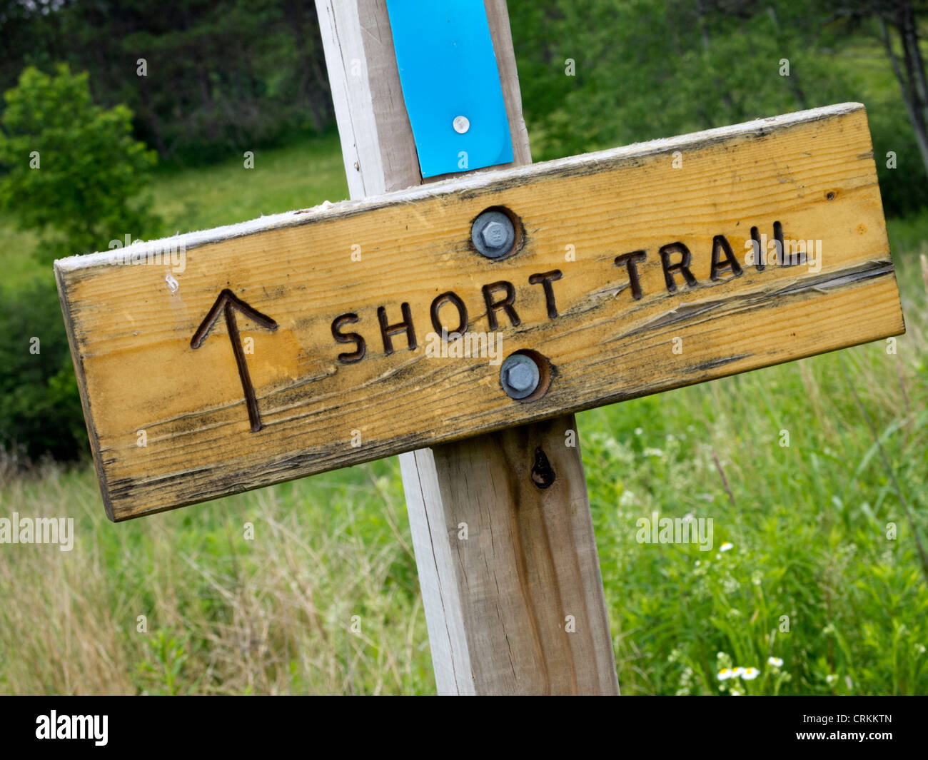 Segno di direzione sul breve sentiero, Waterbury, Vermont, USA Foto Stock